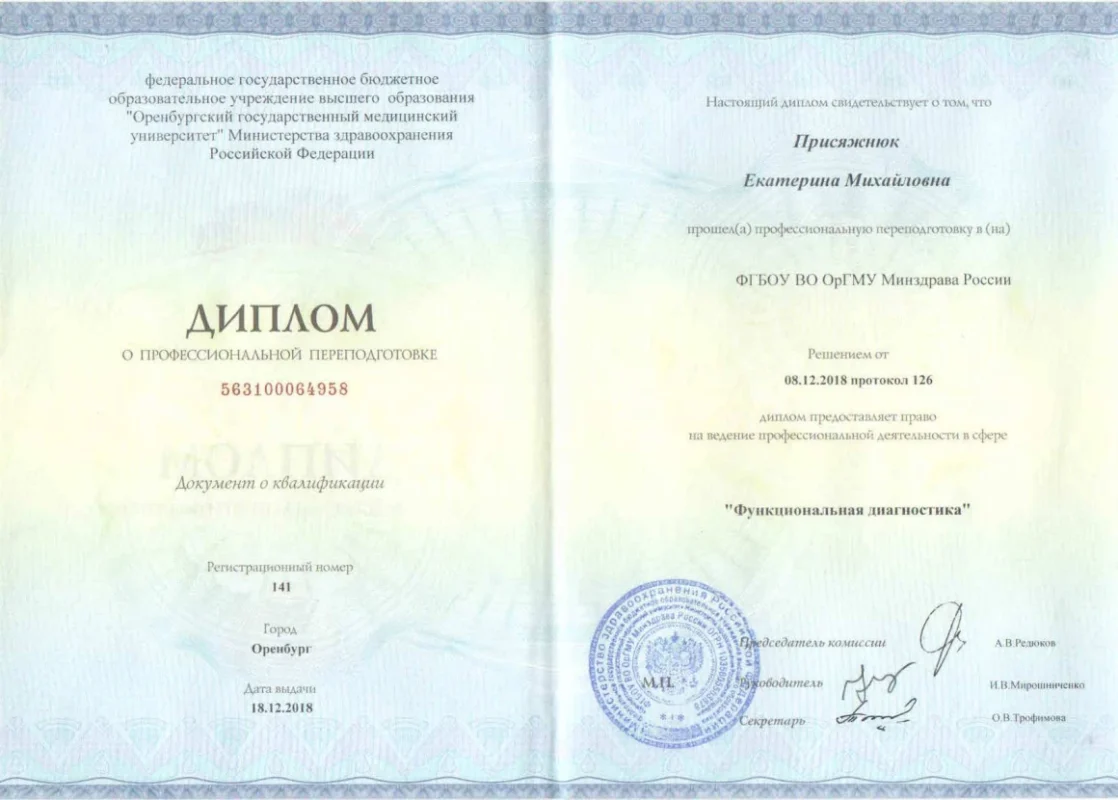 Присяжнюк_ЕМ_дипломФД